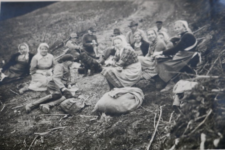 Pflanzfrauen 1 https://www.chronik-schuellar-wemlighausen.de/wp-content/uploads/2025/10/Pflanzfrauen-1.jpg