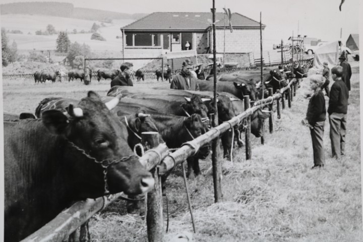 Tierausstellung https://www.chronik-schuellar-wemlighausen.de/wp-content/uploads/2025/10/Tierausstellung.jpg