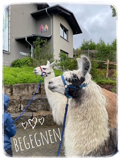 Abenteuerdorf 3 https://www.chronik-schuellar-wemlighausen.de/wp-content/uploads/2025/11/Abenteuerdorf-3.jpg