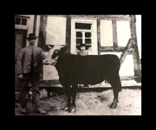 Bei der Übergabe ca. 1899 in Wemlighausen. (Heinrich Dickel *1876 + 1959) Bei der Übergabe ca. 1899 in Wemlighausen. (Heinrich Dickel *1876 + 1959)