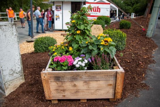 Blumenkästen zierten die Festmeile Blumenkästen zierten die Festmeile