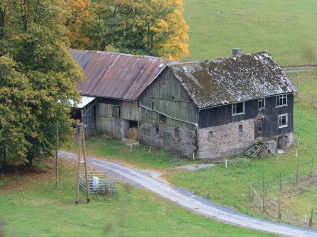 Rüsselsbach 2025 (Foto Jochen Grund)