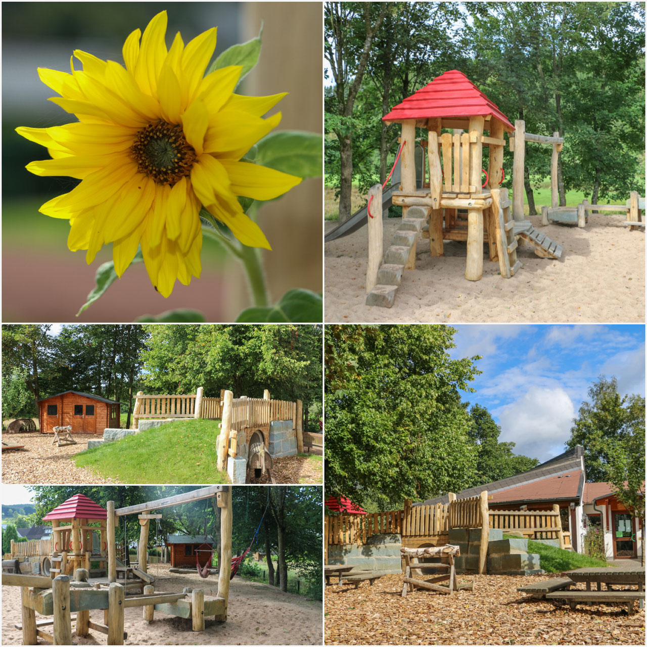 Foto aus www.waldorfkita-sonnenblume.de