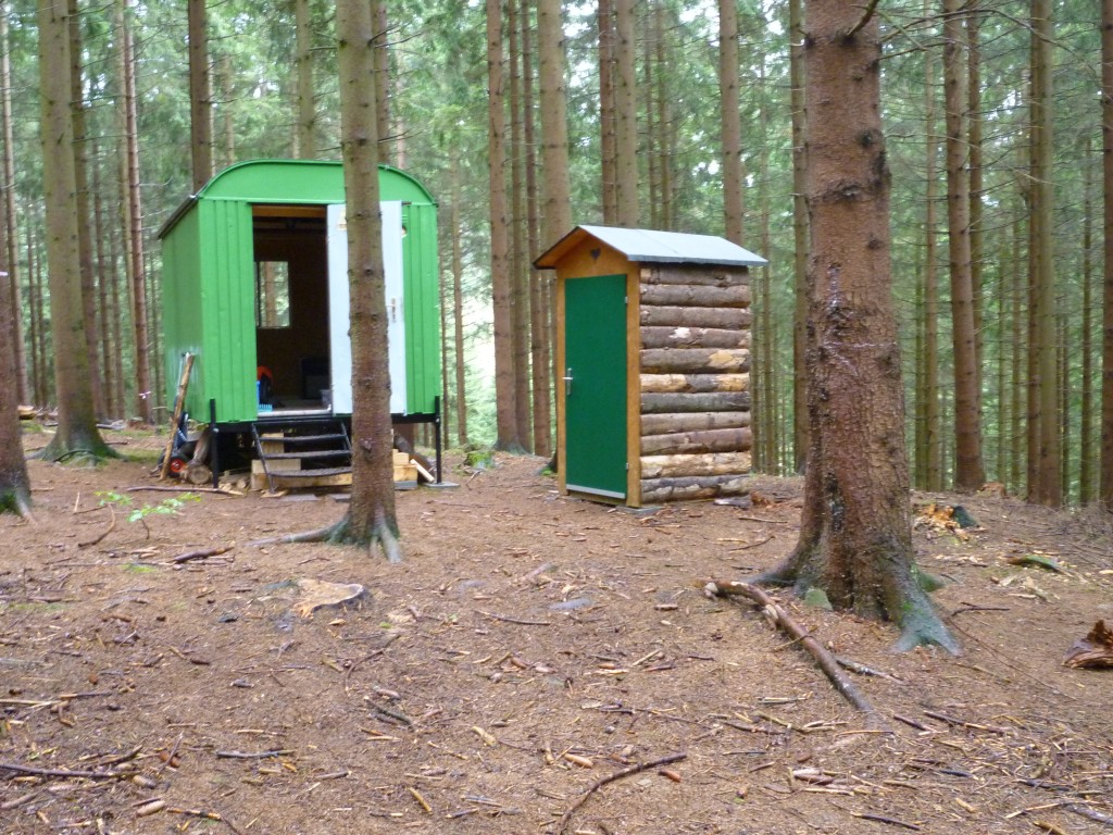 Kindergarten Die Waldentdecker von Frau Brüggemann 4