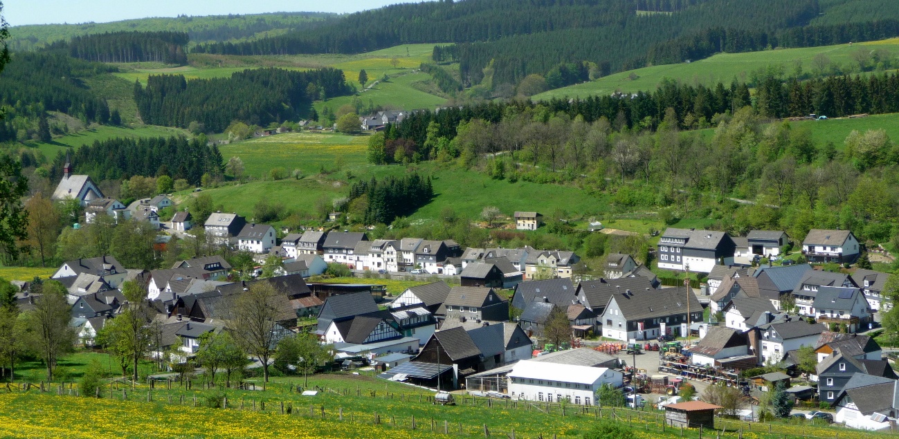 Wemlighausen, im Frühling 2013 mit Blick auf den Rain.