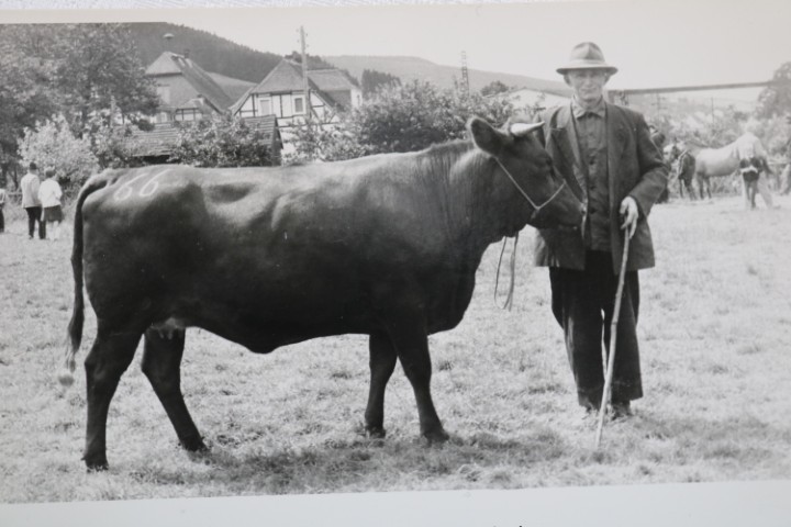 Heinrich Lückel, Nölges