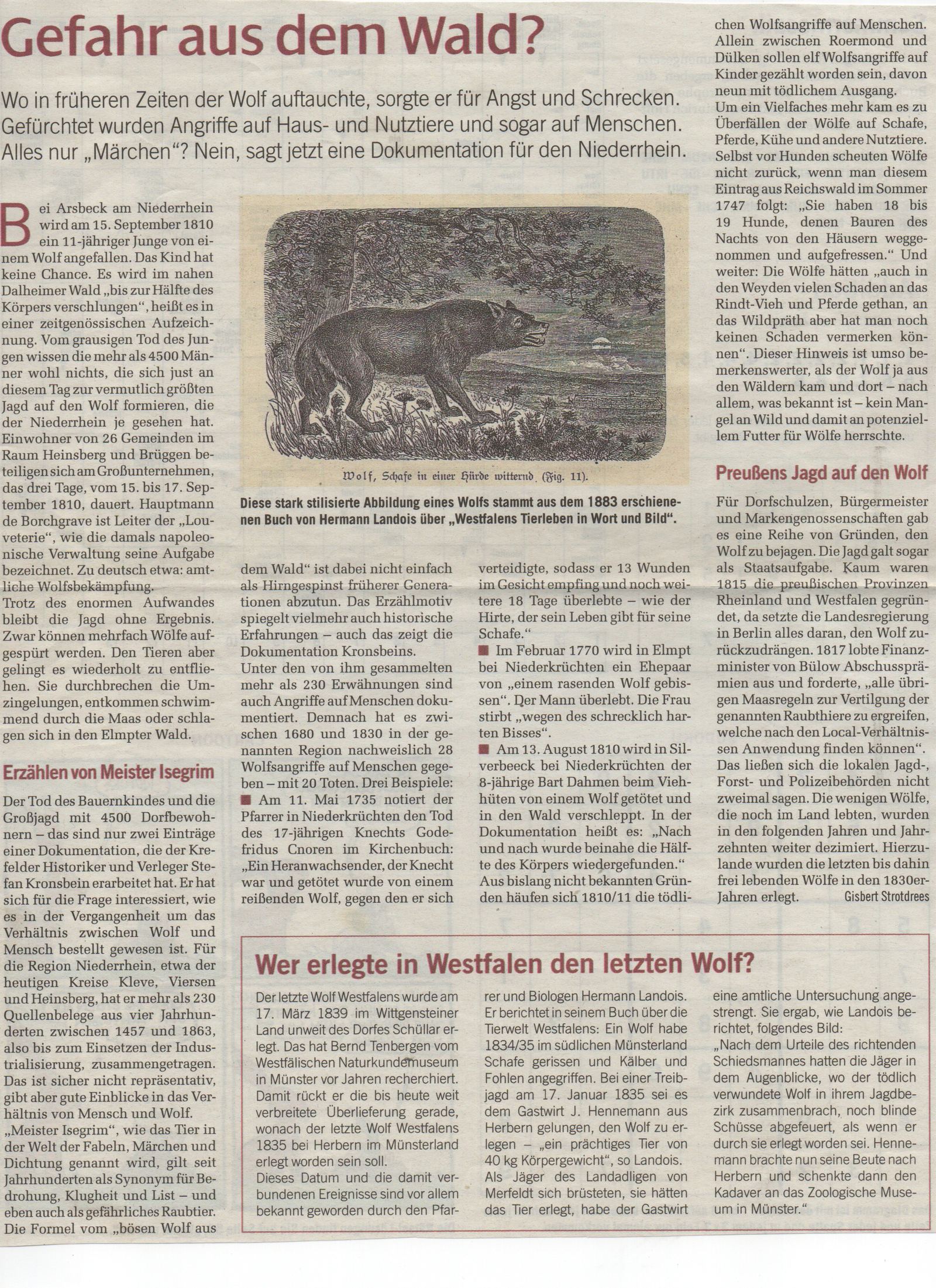 Wolf-der-letzte-Wolf-weboptimiert https://www.chronik-schuellar-wemlighausen.de/wp-content/uploads/2026/08/Wolf-der-letzte-Wolf-weboptimiert.jpg